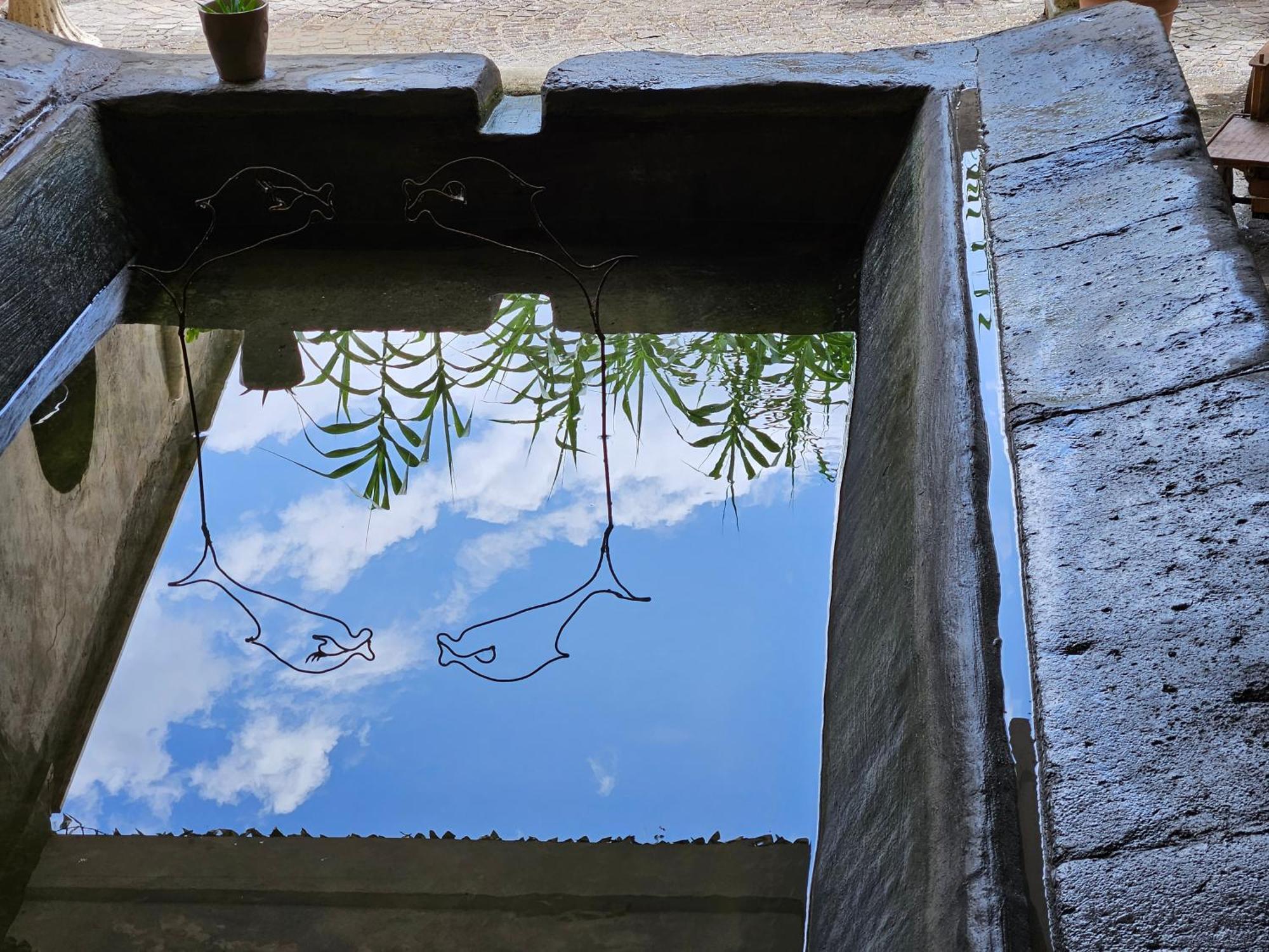 L' Antico Lavatoio Bed & Breakfast Rignano Flaminio Exterior photo