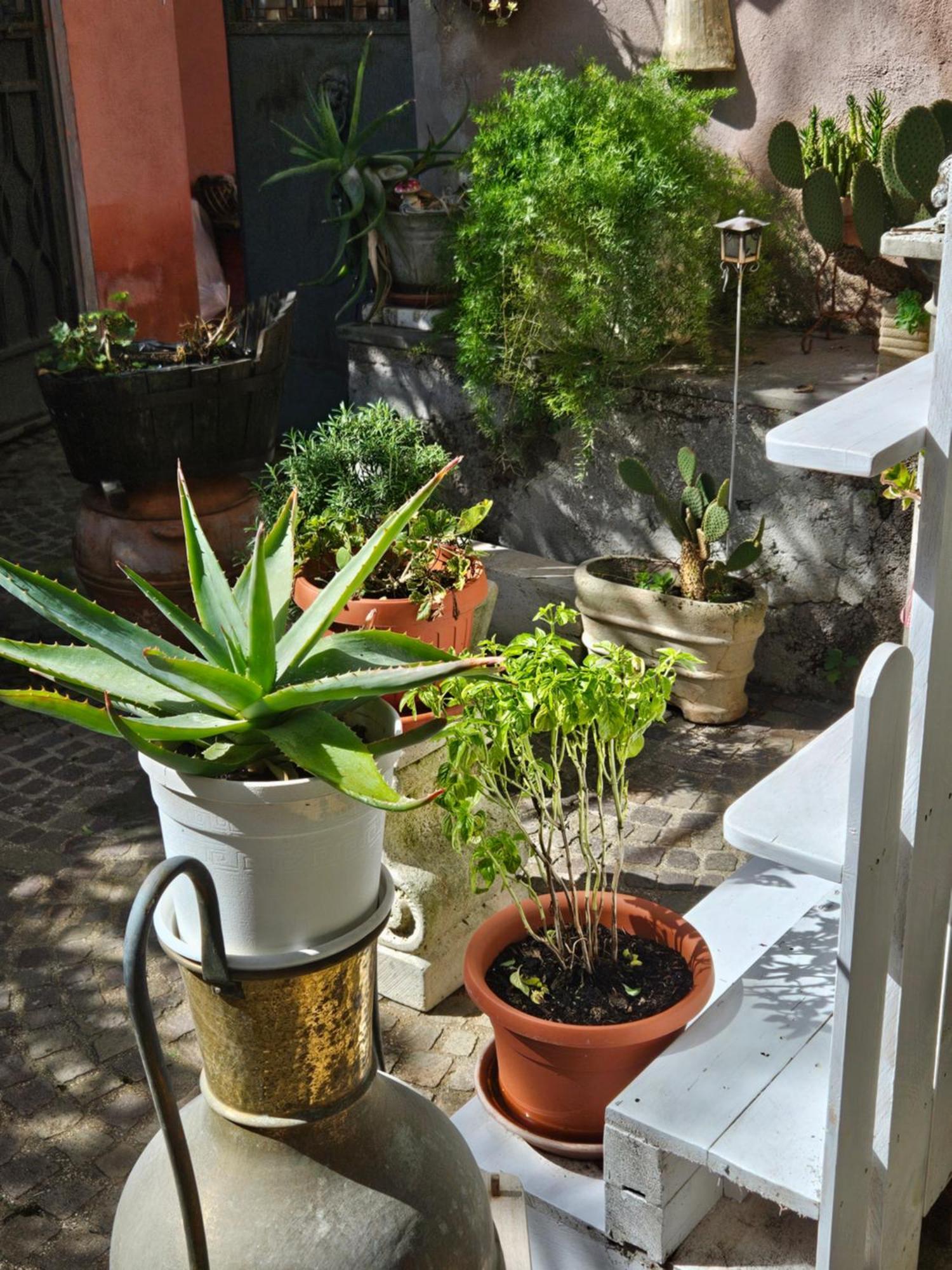 L' Antico Lavatoio Bed & Breakfast Rignano Flaminio Exterior photo
